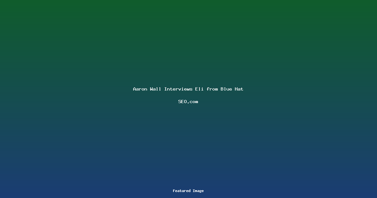 Aaron Wall Interviews Eli from Blue Hat SEOcom