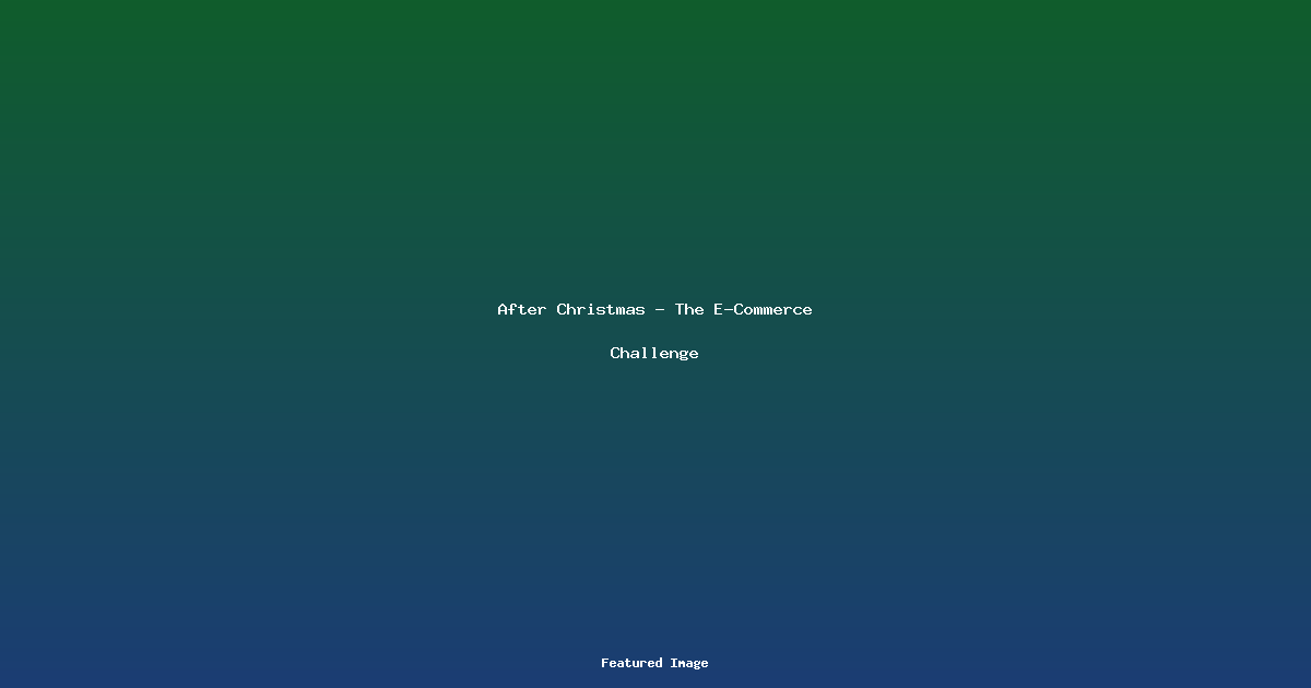 After Christmas - The E-Commerce Challenge