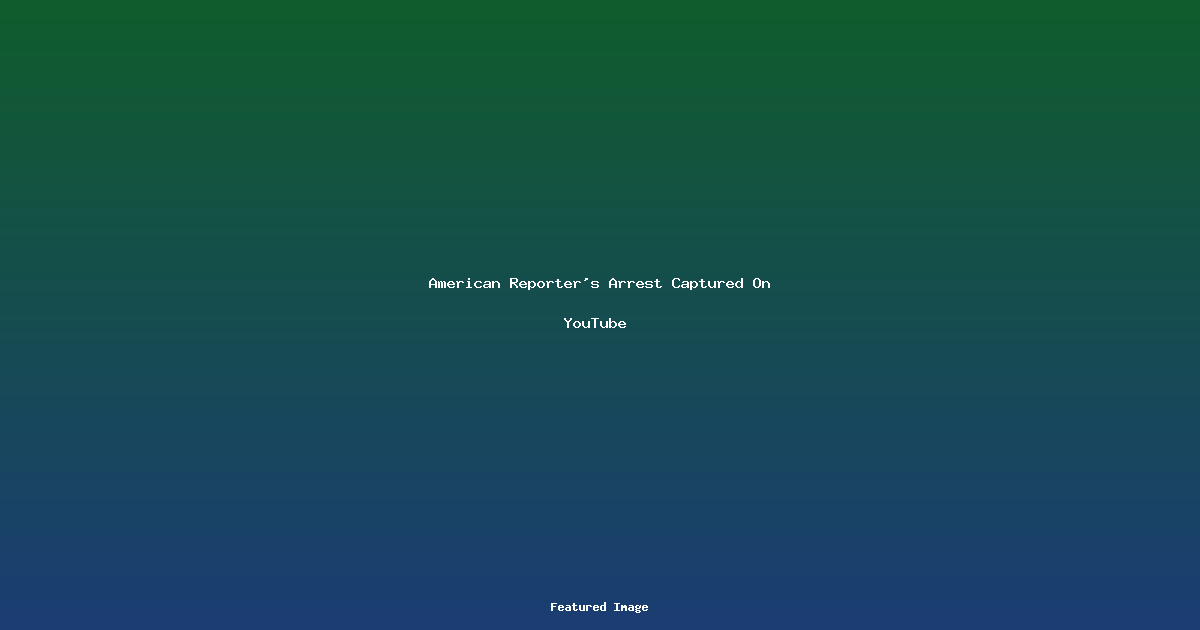 American Reporters Arrest Captured On YouTube