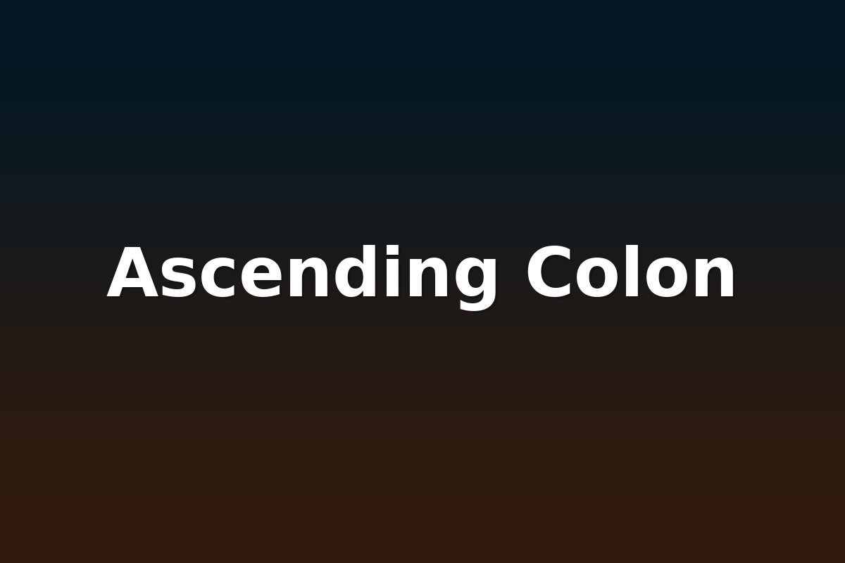 Ascending Colon