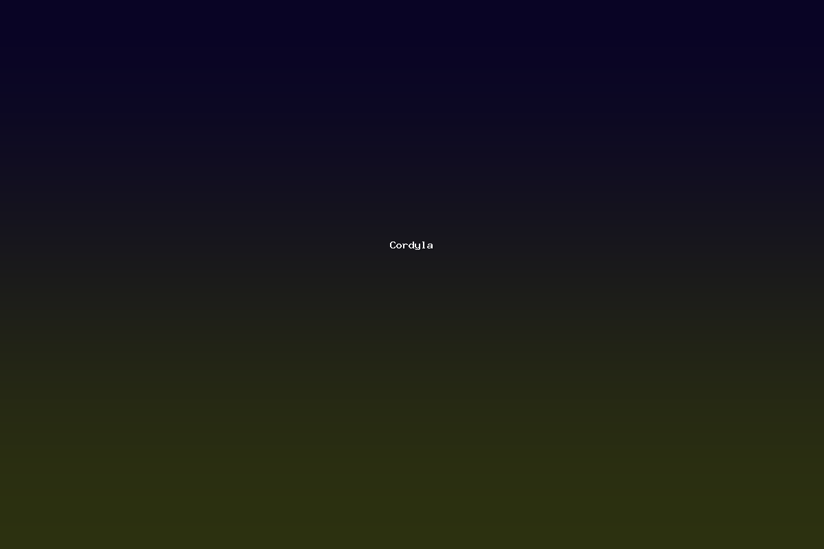 Cordyla