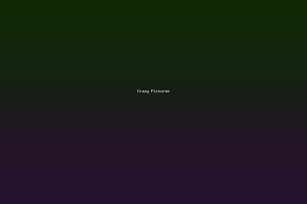 Crazy Pictures