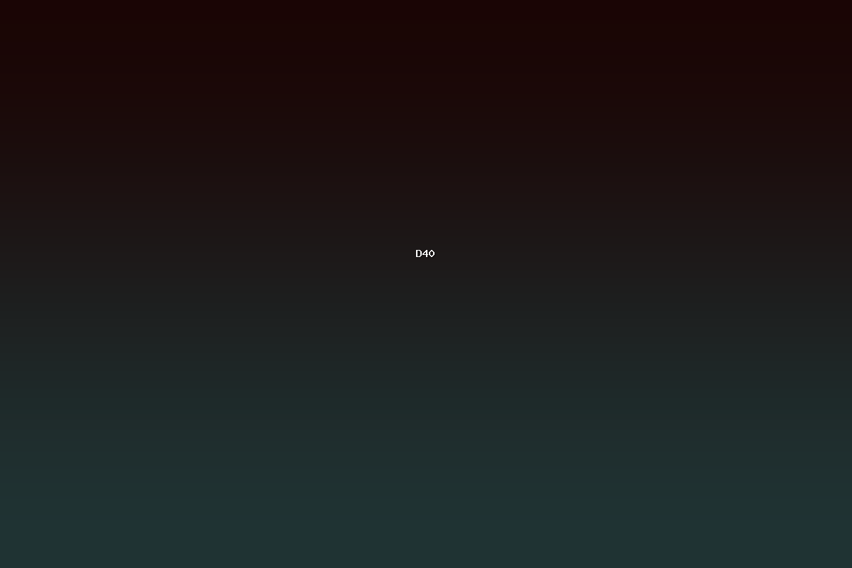 D40