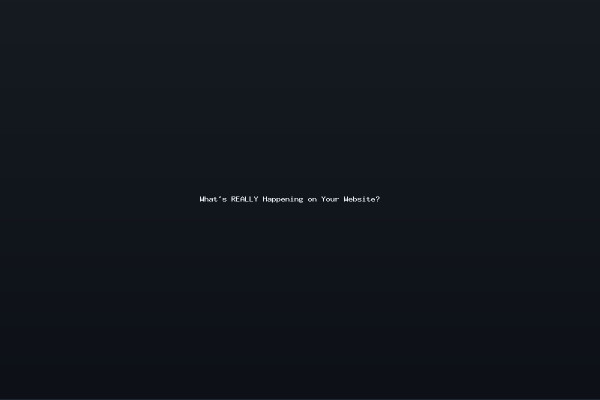 Whats REALLY Happening on Your Website