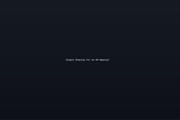 Google Shoping for an Ad Agency