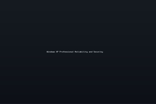 Windows XP Professional Reliability and Security