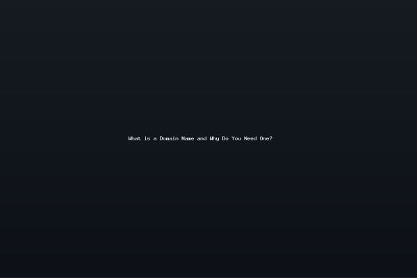 What is a Domain Name and Why Do You Need One
