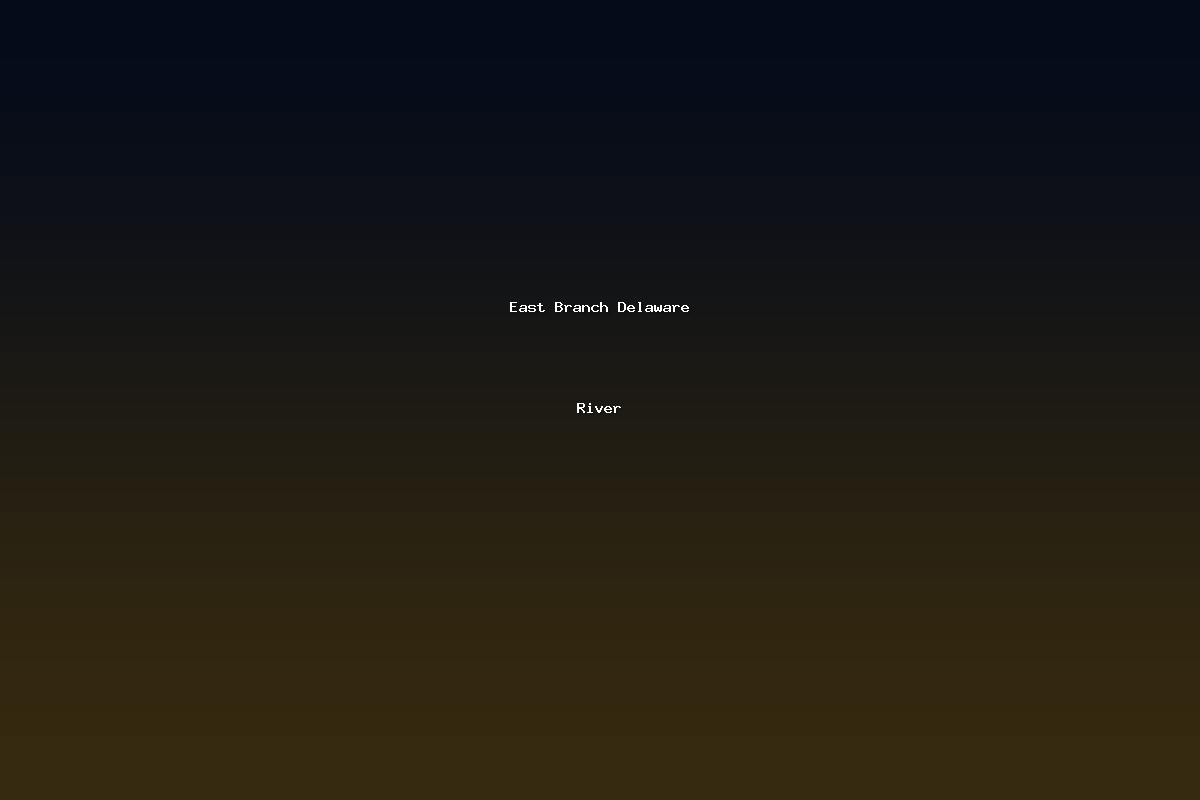 East Branch Delaware River