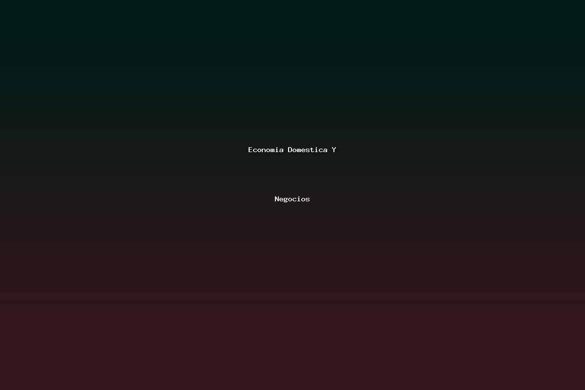 Economia Domestica Y Negocios
