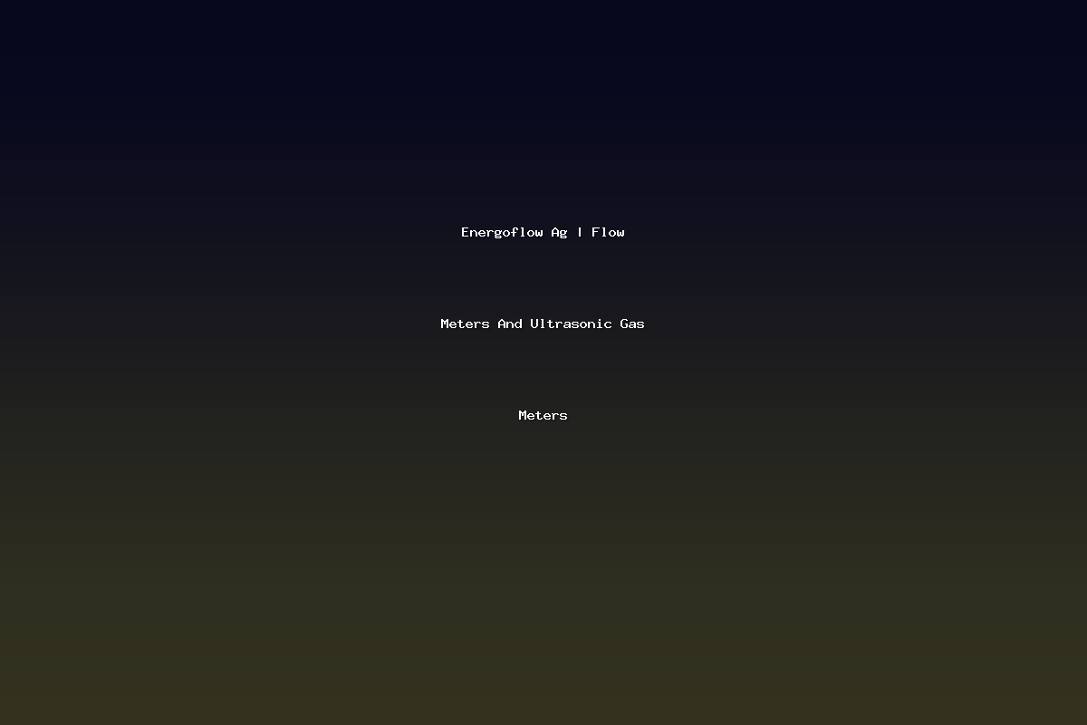 Energoflow Ag | Flow Meters And Ultrasonic Gas Meters