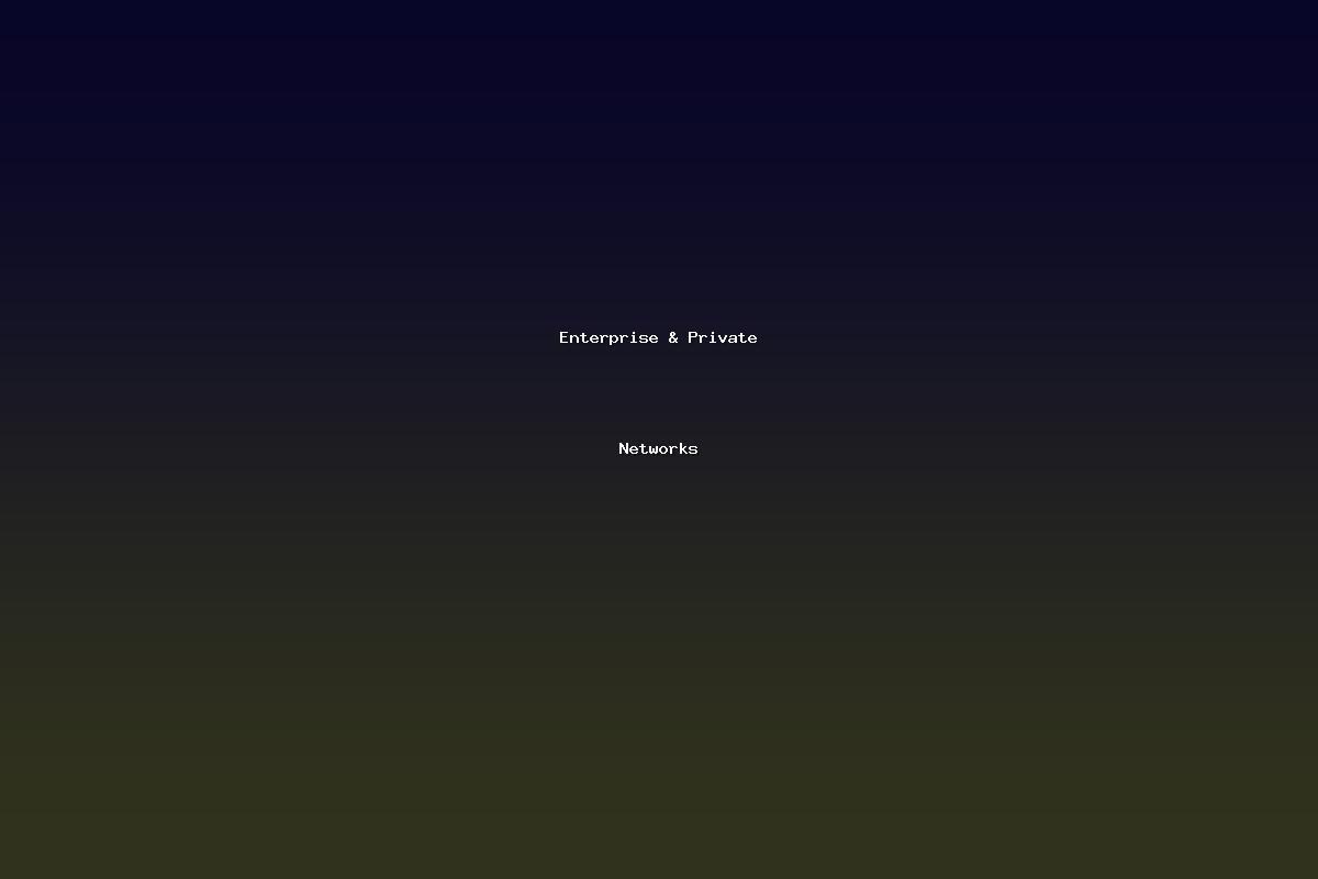 Enterprise & Private Networks