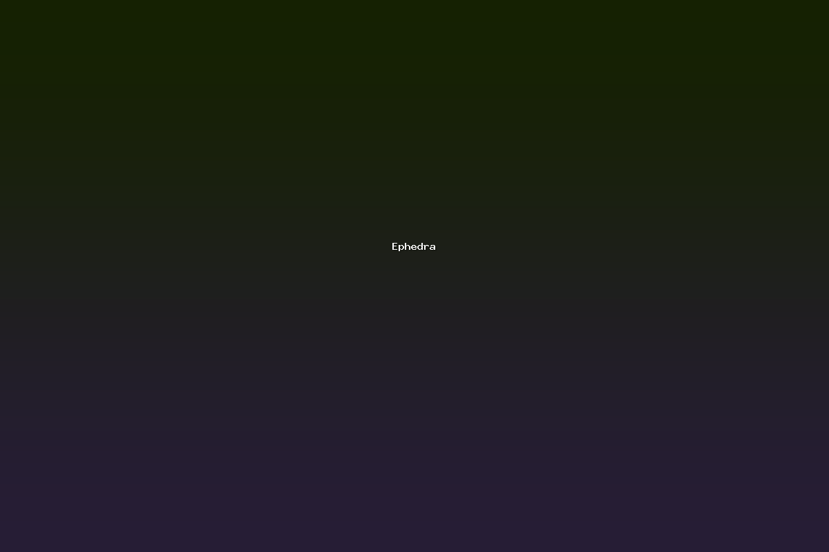 Ephedra