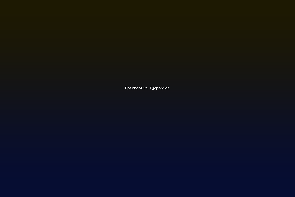 Epichostis Tympanias