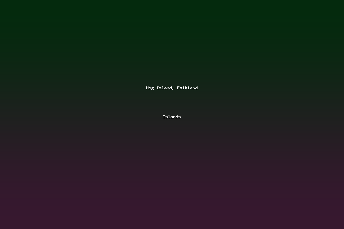Hog Island, Falkland Islands
