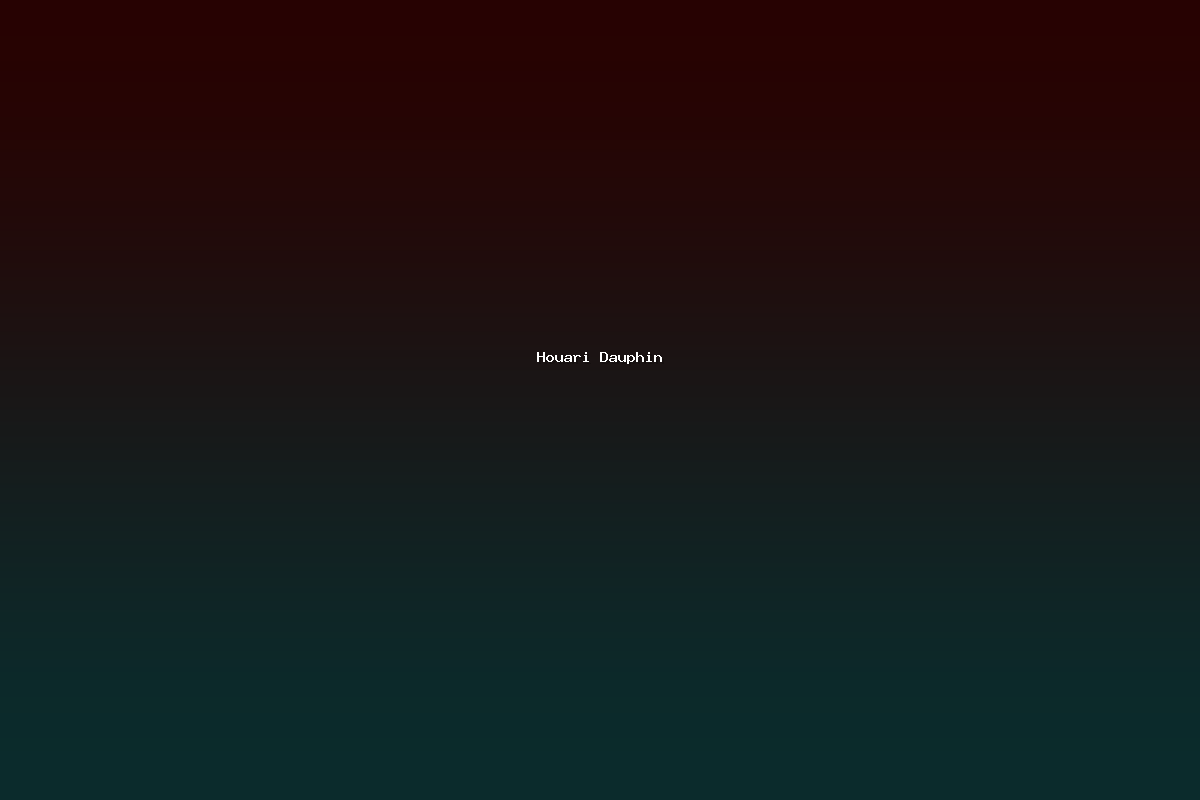 Houari Dauphin