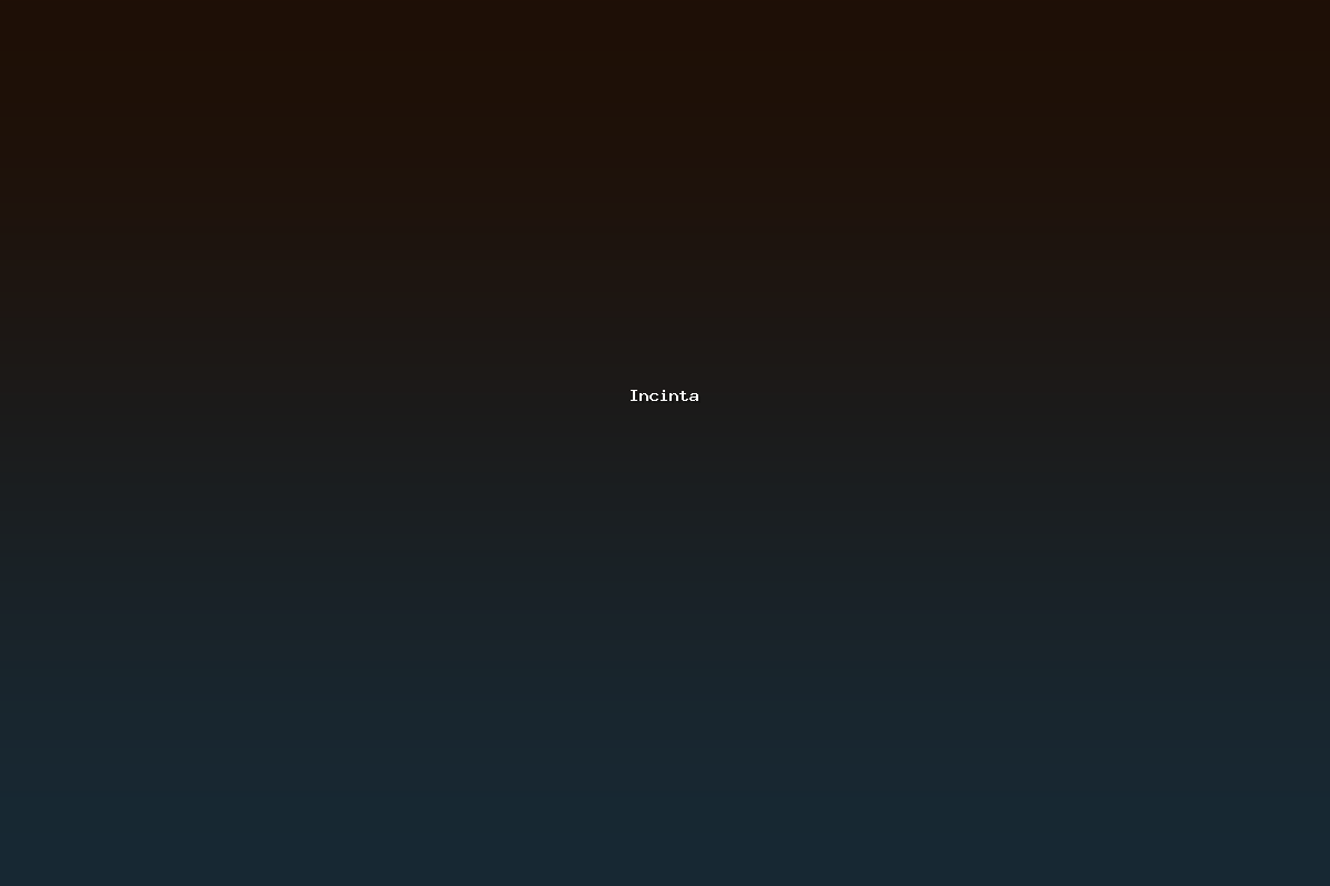 Incinta