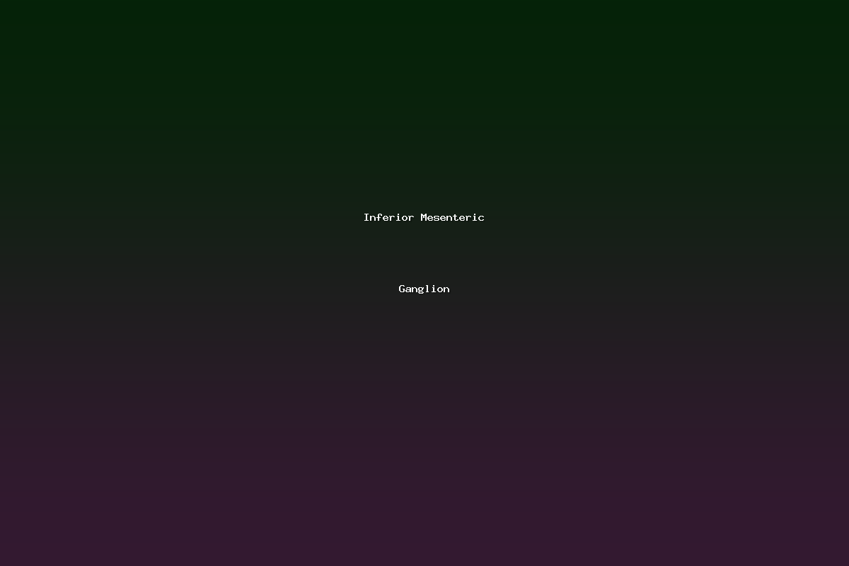 Inferior Mesenteric Ganglion