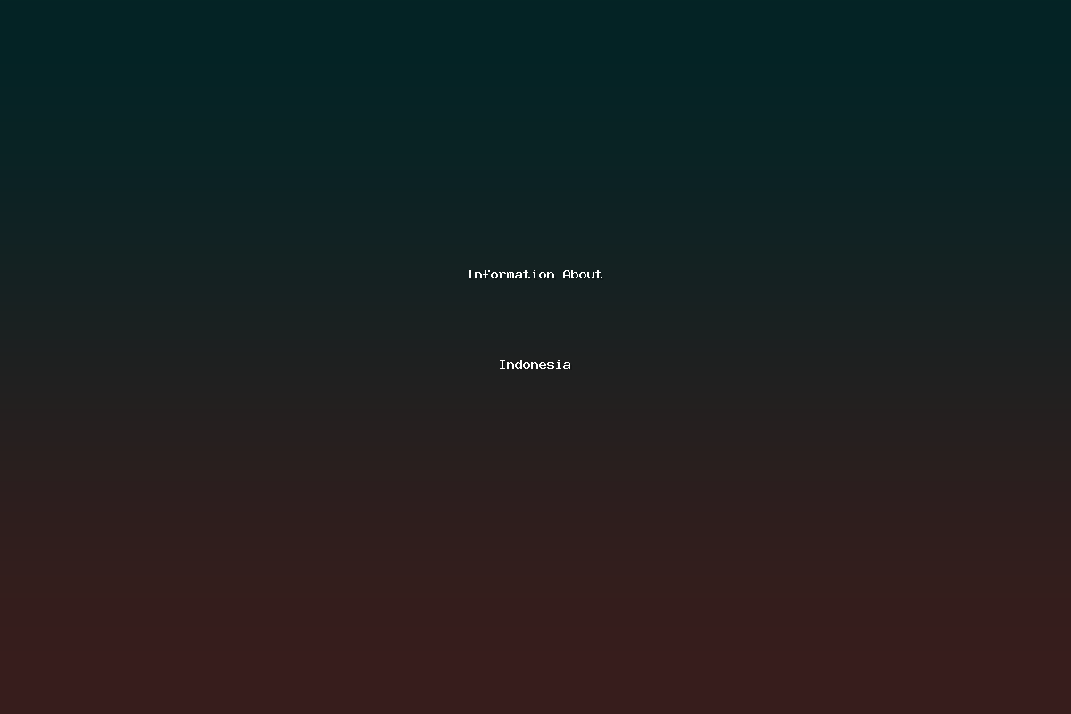 Information About Indonesia