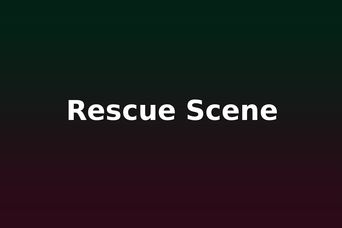 Rescue Scene