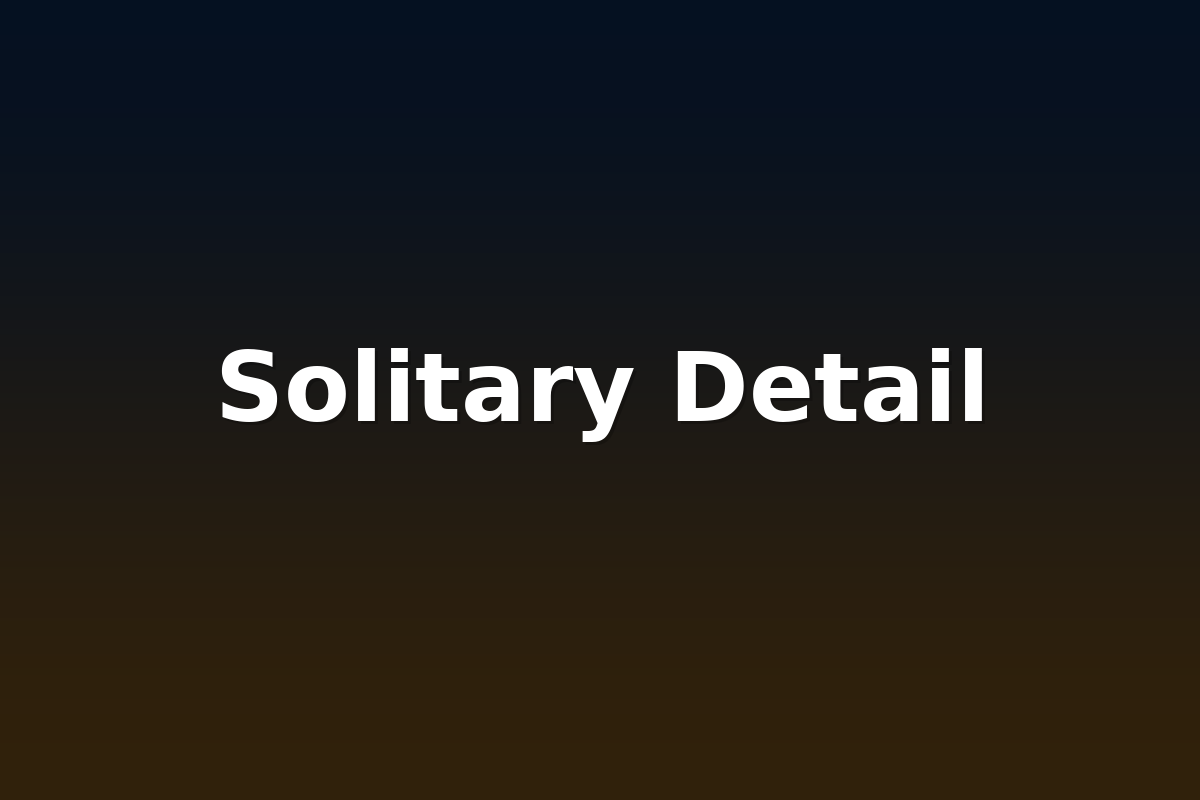Solitary Detail