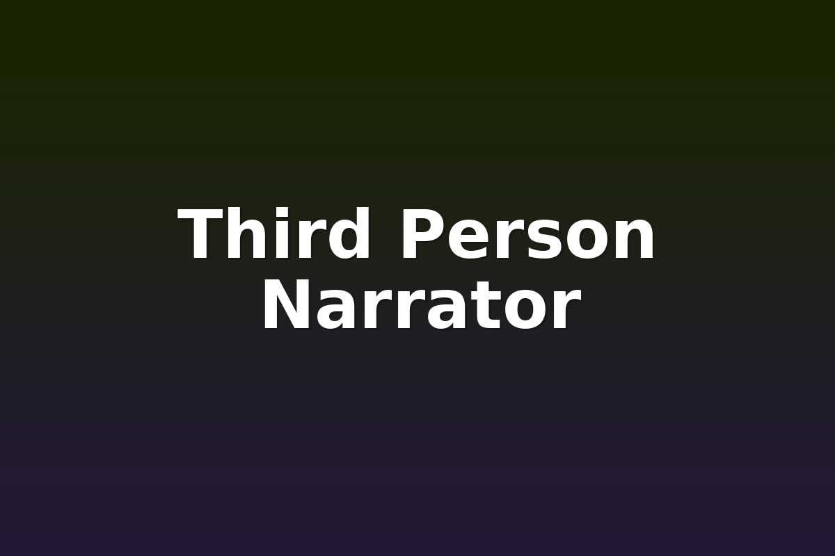 Third Person Narrator